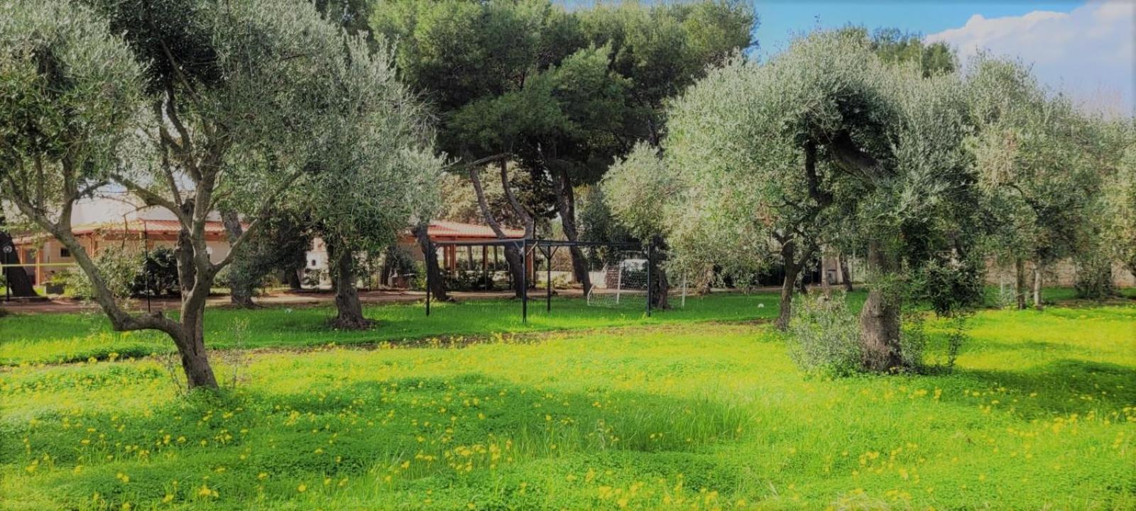 Villa Laura Bari Exterior photo